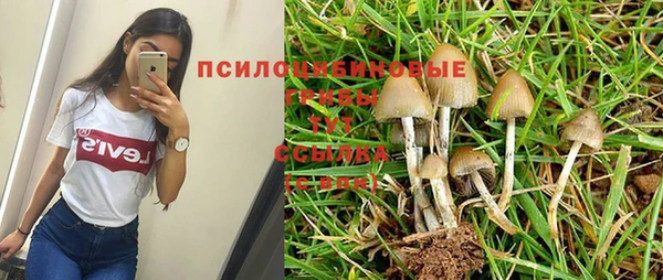 дживик Алзамай