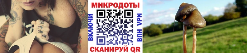 Галлюциногенные грибы Magic Shrooms Николаевск-на-Амуре